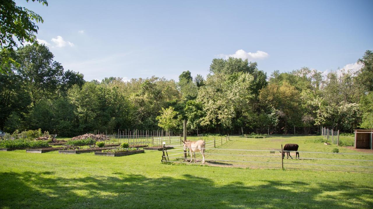 La Collina Delle Mignole Villa Moruzzo Екстериор снимка